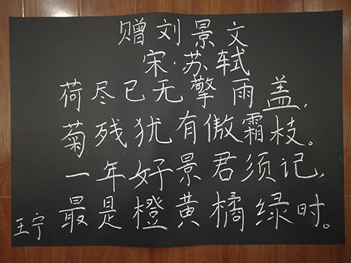 9.粉笔字一等奖-学历教育王宁.jpg